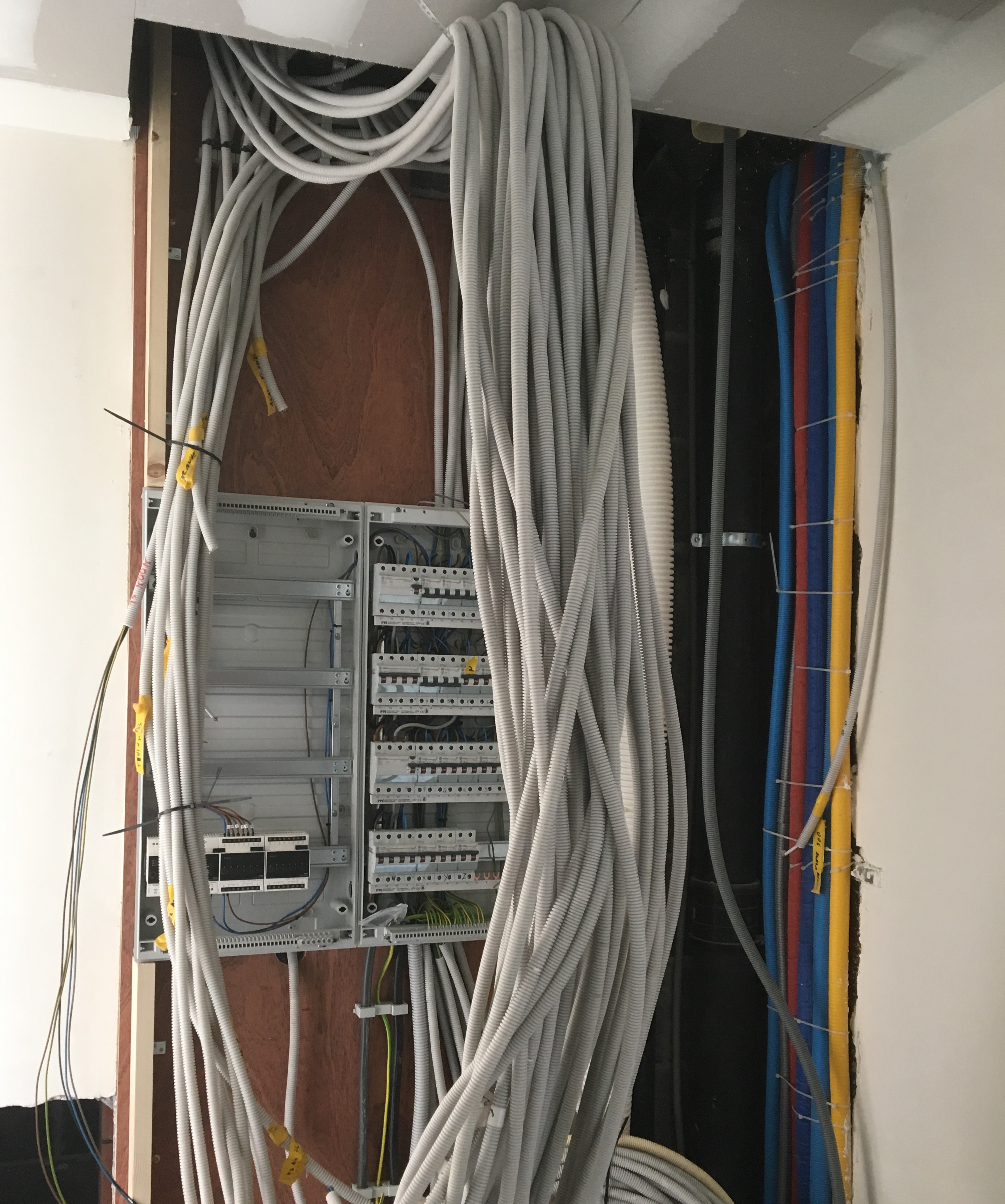 Project DK