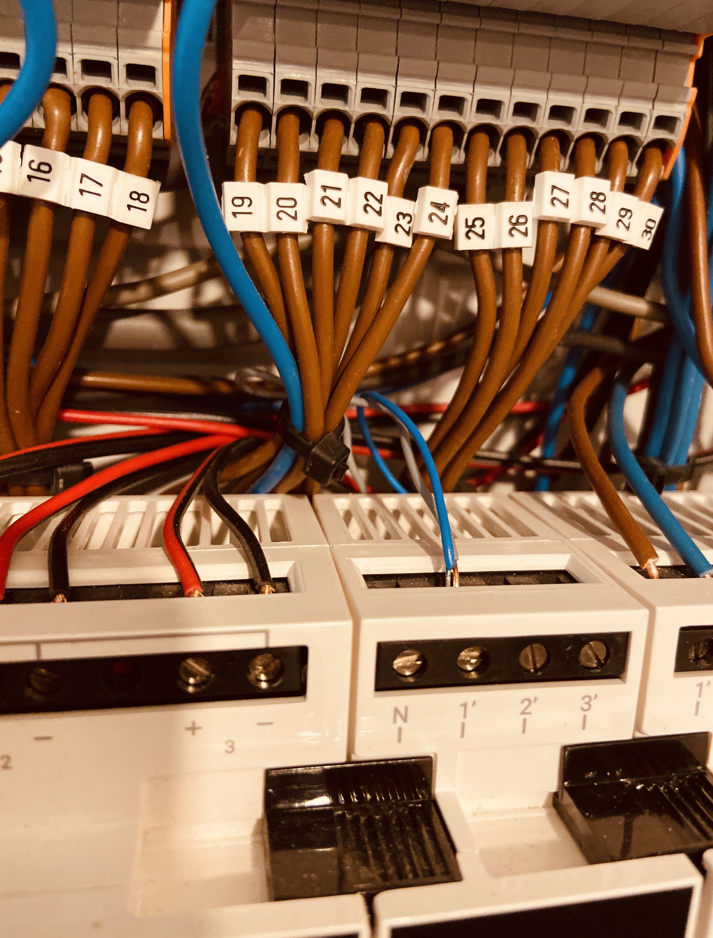 Project DK